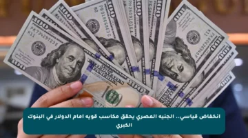 انخفاض قياسي.. الجنيه المصري يحقق مكاسب قوية أمام الدولار في البنوك الكبرى